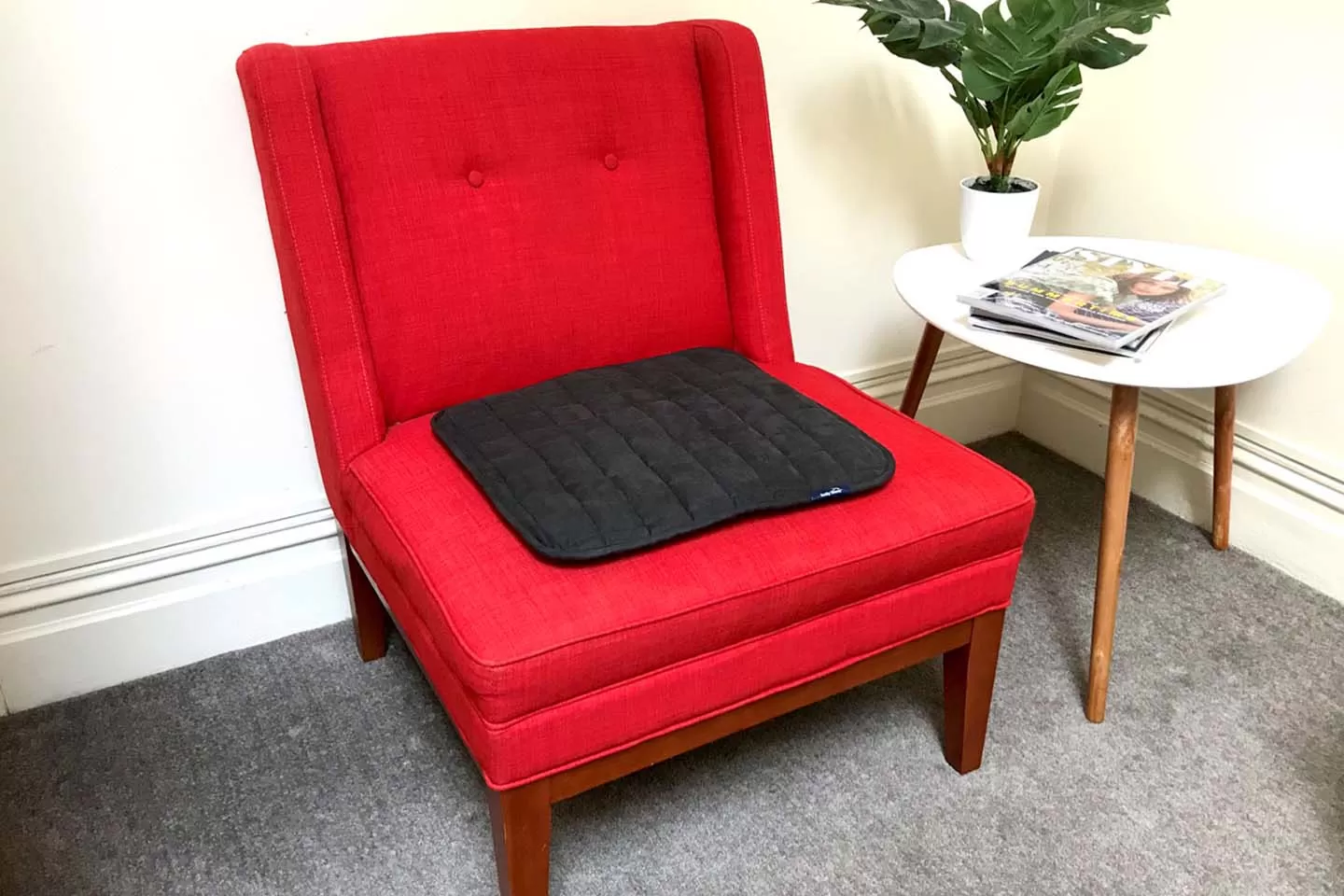 Waterproof Double-Sided Chair Pad